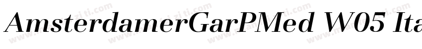 AmsterdamerGarPMed W05 Italic字体转换